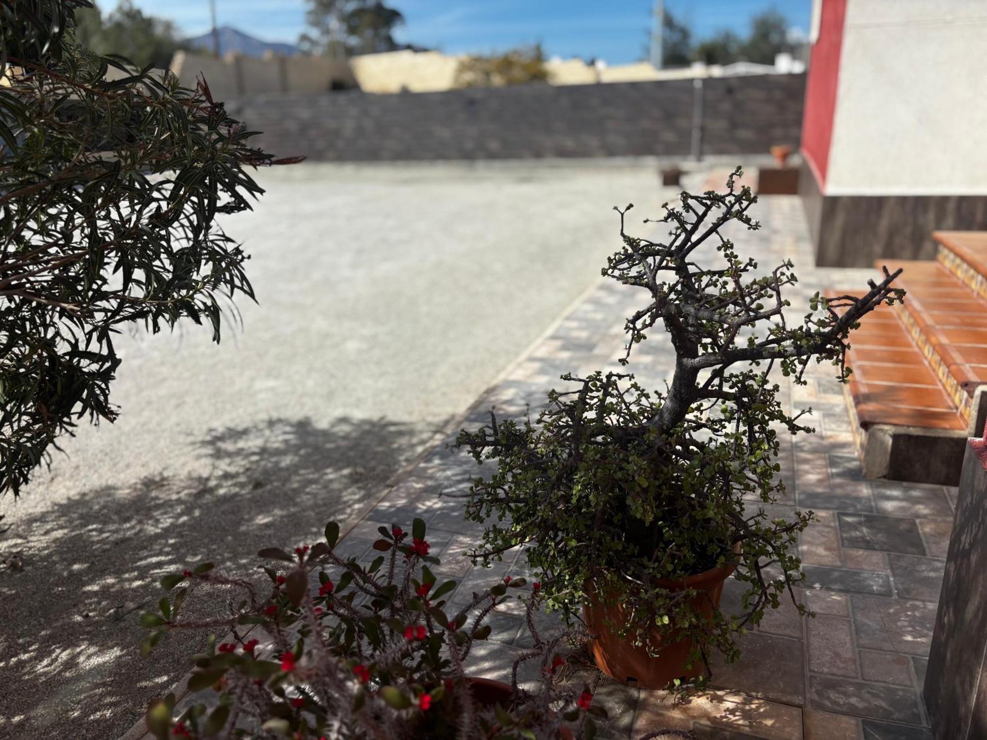 --Chalet En Alicante-- Playa Y Aeropuerto A 15 Minutos Moralet Dış mekan fotoğraf